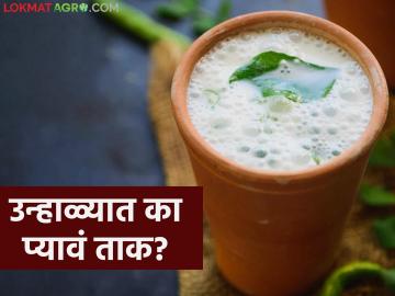 उन्हाळ्यात वात, पित्त आणि कफ आरोग्य प्रकृतीनुसार कसं आणि किती ताक प्यावं? वाचा सविस्तर - Marathi News | How and how much buttermilk should be consumed in summer according to Vata, Pitta and Kapha health conditions? Read in detail | Latest News at Lokmat.com