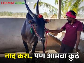 शेतकऱ्यांचा नाद करायचाच नाय; हौसेखातर ४५ लाखांची ही वस्तू आणली दारात - Marathi News | farmers unconditional love; item worth 45 lakhs was brought to the door for the sake of happiness | Latest News at Lokmat.com