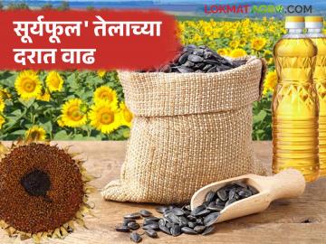 बाजारात 'सूर्यफूल' तेलाचा बसणार चटका; 'रशिया'ने निर्यात शुल्कात केली वाढ - Marathi News | Sunflower oil will be a hit in the market; Russia increases export duty | Latest News at Lokmat.com