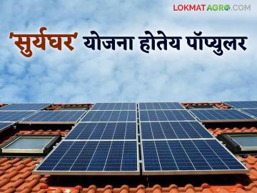 Suryaghar Yojana : प्रधानमंत्री सूर्यघर मोफत वीज योजनेत राज्यात लाखाचा टप्पा ओलांडला; कुठे कराल नोंदणी? - Marathi News | Suryaghar Yojana: The state has crossed the one lakh mark in the Prime Minister Suryaghar free electricity scheme; Where to register? | Latest News at Lokmat.com