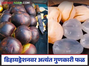 उन्हाळ्यातील डिहायड्रेशनवर 'हे' फळ ठरतंय अंत्यत गुणकारी; जाणून घ्या सविस्तर उन्हाळ्यातील डिहायड्रेशनवर 'हे' फळ ठरतंय अंत्यत गुणकारी; जाणून घ्या सविस्तर