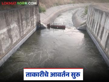 Takari Yojana : ताकारी योजनेचे सात पंप सुरू; तेरा गावातील शेतकऱ्यांना मिळणार आवर्तनाचा लाभ - Marathi News | Takari Yojana : Seven pumps of Takari Yojana started; Farmers from thirteen villages will get benefits | Latest News at Lokmat.com
