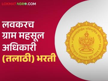 Talathi Bharti 2025 : डिसेंबर अखेर राज्यात १ हजार ७०० पेक्षा जास्त तलाठ्यांची पदे भरणार - Marathi News | Talathi Bharti 2025 : More than 1,700 Talathi posts to be filled in the state by the end of December | Latest News at Lokmat.com