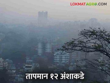 Maharashtra Weather Update : कोमोरिन भागात चक्राकार वाऱ्यांची स्थिती थंडीत होणार वाढ - Marathi News | Maharashtra Weather Update : Cyclone conditions conditions in Comorin area will increase in cold | Latest News at Lokmat.com