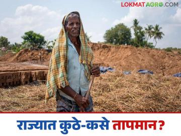 Maharashtra Weather Update : 1 ते 6 फेब्रुवारीपर्यंत महाराष्ट्रातील हवामान कसे असेल? जाणून घ्या सविस्तर  - Marathi News | Latest News Maharashtra Weather Update Cloudy weather, some cold, and bit of sun next week Know in detail | Latest News at Lokmat.com