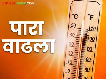Maharashtra Weather Update : राज्यात सर्वाधिक तापमानाची नोंद कुठे? पारा किती वाढला? - Marathi News | Maharashtra Weather Update : Where was the highest temperature recorded in the state? Temperature status in state? | Latest News at Lokmat.com Maharashtra Weather Update : राज्यात सर्वाधिक तापमानाची नोंद कुठे? पारा किती वाढला? - Marathi News | Maharashtra Weather Update : Where was the highest temperature recorded in the state? Temperature status in state? | Latest News at Lokmat.com