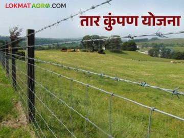 Tar Kumpan Yojana : पिकांचे संरक्षण करण्यासाठी उपयुक्त 'तार कुंपण योजना' वाचा सविस्तर माहिती - Marathi News | Tar Kumpan Yojana : Read detailed information about 'Tar Kumpan Yojana' useful for protecting crops | Latest News at Lokmat.com