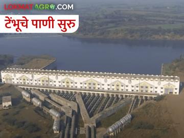 टेंभू योजनेचे आवर्तन सुरू - Marathi News | Tembu Yojana water irrigation started | Latest News at Lokmat.com