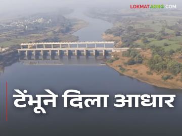 Tembhu Project टेंभू योजना तब्बल १६९ दिवसांपासून अखंडित सुरू - Marathi News | Tembu Project; Tembu Yojana has been running continuously for 169 days | Latest News at Lokmat.com