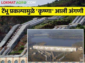 आशिया खंडातील सर्वात मोठा उपसा जलसिंचन प्रकल्प 'टेंभू' - Marathi News | Asia's Largest lift Irrigation Project 'Tembu' | Latest News at Lokmat.com आशिया खंडातील सर्वात मोठा उपसा जलसिंचन प्रकल्प 'टेंभू' - Marathi News | Asia's Largest lift Irrigation Project 'Tembu' | Latest News at Lokmat.com