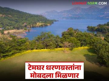 टेमघर प्रकल्पग्रस्तांना भूसंपादनासाठीचा वाढीव मोबदला मिळण्याचा मार्ग अखेर मोकळा; कधी मिळणार पैसे? - Marathi News | The path to receiving increased compensation for land acquisition for Temghar project victims is finally clear; When will they get the money? | Latest News at Lokmat.com