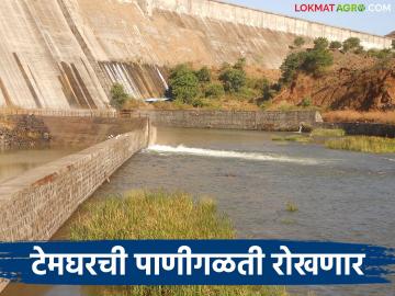 टेमघर धरणाची पाणीगळती रोखण्यासाठी ४८८ कोटी रुपयांच्या खर्चाला राज्य मंत्रिमंडळाची मान्यता - Marathi News | State Cabinet approves expenditure of Rs 488 crore to prevent water leakage from Temghar Dam | Latest News at Lokmat.com