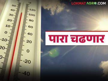 Maharashtra Weather Update : फेब्रुवारी अखेर हवामानात बदल होण्याची शक्यता; तापमानात वाढ होणार? - Marathi News | Maharashtra Weather Update : Weather likely to change by the end of February; Will temperatures increase? | Latest News at Lokmat.com Maharashtra Weather Update : फेब्रुवारी अखेर हवामानात बदल होण्याची शक्यता; तापमानात वाढ होणार? - Marathi News | Maharashtra Weather Update : Weather likely to change by the end of February; Will temperatures increase? | Latest News at Lokmat.com