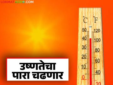 Maharashtra Heat Wave : सावधान! राज्यात 'या' ठिकाणी उष्णतेचा पारा ४२ वर जाणार - Marathi News | Maharashtra Heat Wave : Beware! The temperature will go up to 42 in 'these' places in the state | Latest News at Lokmat.com