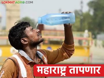 राज्यात उन्हाचा चटका वाढणार, पुढील चार दिवस विदर्भ ढगाळणार हलक्या पावसाची शक्यता - Marathi News | The hot weather will increase in the state, Vidarbha will be cloudy for four days, there is a possibility of light rain | Latest News at Lokmat.com