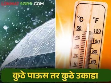 Weather Report : राज्यात दोन दिवस कुठे उष्णतेची लाट तर कुठे तुरळक पावसाचा अंदाज  - Marathi News | Latest News Heat wave forecast for two days in state and sporadic rain in other places | Latest News at Lokmat.com