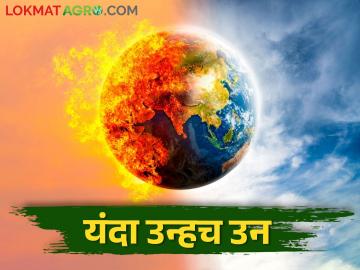 Climate Change; यंदाचे वर्ष ठरणार आणखी विक्रमी उष्ण वर्ष - Marathi News | Climate Change; This year will be another record hot year | Latest News at Lokmat.com