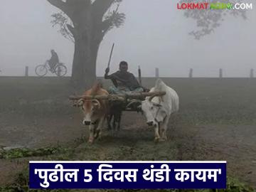 Cold Weather : पुढील 5 दिवस थंडीचे, महाराष्ट्रातील 'या' जिल्ह्यांत सर्वाधिक थंडी असणार - Marathi News | Latest news next 5 days will be cold weather 'these' districts of Maharashtra will be coldest | Latest News at Lokmat.com Cold Weather : पुढील 5 दिवस थंडीचे, महाराष्ट्रातील 'या' जिल्ह्यांत सर्वाधिक थंडी असणार - Marathi News | Latest news next 5 days will be cold weather 'these' districts of Maharashtra will be coldest | Latest News at Lokmat.com