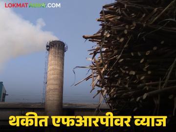 गाळपानंतर १४ दिवसांच्या आत एफआरपीप्रमाणे पैसे दिले नाहीतर त्या रकमेवर व्याज; काय आहे कायदा? - Marathi News | If the money is not paid as per FRP within 14 days after the crushing, interest will be charged on that amount; what is the law? | Latest News at Lokmat.com