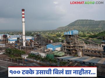 कारखान्यांनी उसाची थकीत बिलं ३० मार्चपर्यंत दिली नाही तर प्रशासन घेणार 'ही' कडक भूमिका - Marathi News | If factories do not pay their outstanding sugarcane bills by March 30, the administration will take 'this' strict action | Latest News at Lokmat.com