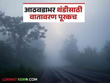 Maharashtra Weather Update : गुलाबी थंडीची चाहूल, आठवडाभर थंडी टिकून राहण्याची शक्यता, वाचा सविस्तर  - Marathi News | latest News maharashtra weather update Pink cold forecast, cold will increase in maharashtra read in detail  | Latest News at Lokmat.com