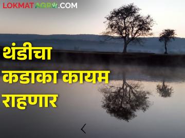 २६ जानेवारीपर्यंत थंडीचा कडाका कायम राहणार - Marathi News | The bitter cold will continue till January 26 | Latest News at Lokmat.com