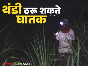 Winter Health Care : अति थंडी ठरू शकते घातक; कशी घ्याल काळजी वाचा आरोग्यतज्ज्ञांचा सल्ला - Marathi News | Winter Health Care : Extreme cold can be dangerous; Read detailed advice from health experts on how to take care of yourself | Latest News at Lokmat.com