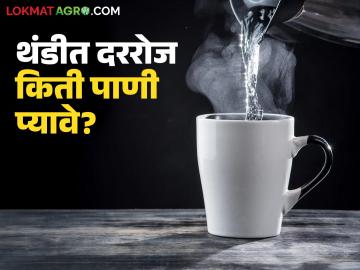 थंडीमध्ये शरीराला किती पाण्याची आवश्यकता? दररोज किती पाणी प्यावे? जाणून घ्या सविस्तर - Marathi News | How much water does the body need in winter? How much water should you drink daily? Know in detail | Latest News at Lokmat.com