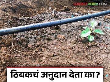Thibak Anudan : कोपरगाव तालुक्यात १ कोटी ४१ लाख रुपये ठिबक अनुदानाची रक्कम थकीत - Marathi News | Thibak Anudan : Rs 1 crore 41 lakh in drip irrigation subsidy due in Kopargaon taluka | Latest News at Lokmat.com
