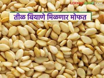 Mofat Til Biyane : शेतकऱ्यांनो, महाडीबीटीवर अर्ज करा अन् मोफत मिळवा उन्हाळी तीळ बियाणे वाचा सविस्तर - Marathi News | latest news Mofat Til Biyane: Farmers, apply for MahaDBT and get free summer sesame seeds Read in detail | Latest News at Lokmat.com Mofat Til Biyane : शेतकऱ्यांनो, महाडीबीटीवर अर्ज करा अन् मोफत मिळवा उन्हाळी तीळ बियाणे वाचा सविस्तर - Marathi News | latest news Mofat Til Biyane: Farmers, apply for MahaDBT and get free summer sesame seeds Read in detail | Latest News at Lokmat.com