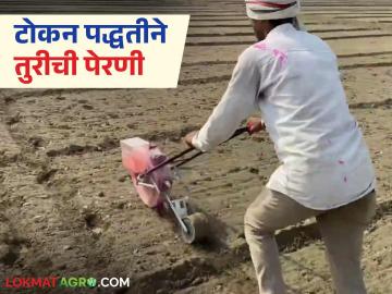 Token Technology : सहा एकरवर टोकन तंत्रज्ञान; शिवप्रसाद वलांडे यांचा नाविन्यपूर्ण प्रयोग वाचा सविस्तर - Marathi News | latest news Token Technology: Token technology on six acres; Read Shivprasad Walande's innovative experiment in detail | Latest News at Lokmat.com Token Technology : सहा एकरवर टोकन तंत्रज्ञान; शिवप्रसाद वलांडे यांचा नाविन्यपूर्ण प्रयोग वाचा सविस्तर - Marathi News | latest news Token Technology: Token technology on six acres; Read Shivprasad Walande's innovative experiment in detail | Latest News at Lokmat.com