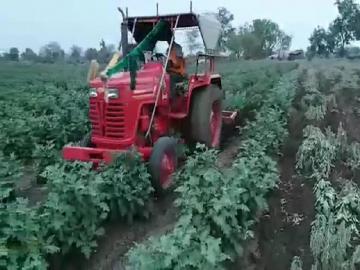 स्मार्ट शेतकऱ्यांमुळे लाकडी अवजारे होत आहेत हद्दपार - Marathi News | Smart farmers are banishing wooden tools | Latest News at Lokmat.com