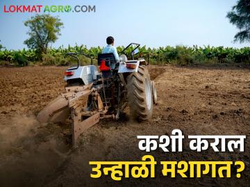 Summer Tillage उन्हाळी मशागत कशी व केव्हा करावी? - Marathi News | How and when to do summer tillage? | Latest News at Lokmat.com Summer Tillage उन्हाळी मशागत कशी व केव्हा करावी? - Marathi News | How and when to do summer tillage? | Latest News at Lokmat.com