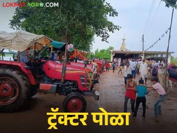 Tractor Pola : बैलांची जागा ट्रॅक्टरने घेतली, 'या' गावात साजरा होतो ट्रॅक्टर पोळा, वाचा सविस्तर  - Marathi News | Latest news tractor pola are taking place in navargoan village in chandrapur district, read in detail | Latest News at Lokmat.com