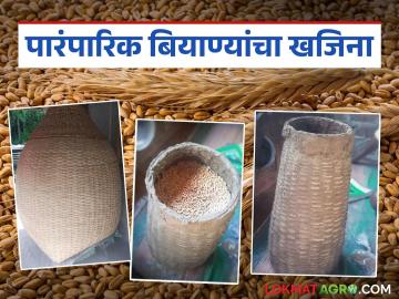 'पारंपरिक बियाणे' साठवण्याच्या शेतकऱ्यांच्या पद्धतीही पारंपरिक; जाणून घ्या सविस्तर - Marathi News | Farmers' methods of storing 'traditional seeds' are also traditional; know in detail | Latest News at Lokmat.com 'पारंपरिक बियाणे' साठवण्याच्या शेतकऱ्यांच्या पद्धतीही पारंपरिक; जाणून घ्या सविस्तर - Marathi News | Farmers' methods of storing 'traditional seeds' are also traditional; know in detail | Latest News at Lokmat.com