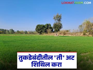 तुकडेबंदी कायद्यात पंधरा गुंठ्यांची अट शिथिल होणार का? शेतकऱ्यांना कसा होईल फायदा? - Marathi News | Will the condition of fifteen guntas be relaxed in the fragmentation law? How will it benefit farmers? | Latest News at Lokmat.com तुकडेबंदी कायद्यात पंधरा गुंठ्यांची अट शिथिल होणार का? शेतकऱ्यांना कसा होईल फायदा? - Marathi News | Will the condition of fifteen guntas be relaxed in the fragmentation law? How will it benefit farmers? | Latest News at Lokmat.com