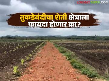 तुकडाबंदी रद्द आता नियमितीकरणाच्या प्रक्रियेला प्रारंभ; नक्की शेती क्षेत्राला याचा फायदा होणार का? - Marathi News | Fragmentation ban lifted, regularization process begins; Will this really benefit the agricultural sector? | Latest News at Lokmat.com