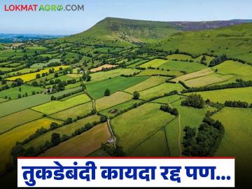 तुकडेबंदी कायदा रद्द झाला पण अध्यादेश कधी? कायद्यात सुधारणा करावी लागणार का? वाचा सविस्तर - Marathi News | Tukde bandi act has been repealed, but when will the ordinance be issued? Will the law need to be amended? Read in detail | Latest News at Lokmat.com तुकडेबंदी कायदा रद्द झाला पण अध्यादेश कधी? कायद्यात सुधारणा करावी लागणार का? वाचा सविस्तर - Marathi News | Tukde bandi act has been repealed, but when will the ordinance be issued? Will the law need to be amended? Read in detail | Latest News at Lokmat.com
