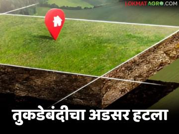 Tukadebandi Kayada : तुकडेबंदी हटली; आता १०-२० गुंठे जमीन विक्रीला परवानगी वाचा सविस्तर - Marathi News | latest news Tukadebandi Kayada: Tukadebandi removed; Now 10-20 gunthas of land allowed for sale Read in detail | Latest News at Lokmat.com