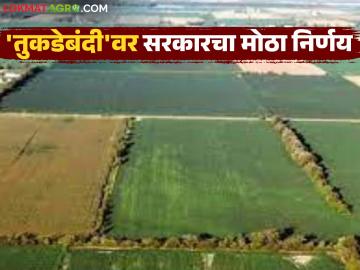 Tukdebandi Kayada : अनधिकृत भूखंडांना कायदेशीर मान्यता; काय आहे नवी प्रक्रिया? वाचा सविस्तर - Marathi News | latest news Tukdebandi Kayada: Legal recognition of unauthorized plots; What is the new process? Read in detail | Latest News at Lokmat.com Tukdebandi Kayada : अनधिकृत भूखंडांना कायदेशीर मान्यता; काय आहे नवी प्रक्रिया? वाचा सविस्तर - Marathi News | latest news Tukdebandi Kayada: Legal recognition of unauthorized plots; What is the new process? Read in detail | Latest News at Lokmat.com