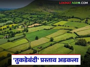 Tukdebandi law : अकोल्यात 'तुकडेबंदी' प्रस्ताव अडकला; मंजुरीची प्रक्रिया का थांबली वाचा सविस्तर - Marathi News | latest news Tukdebandi law: 'Tukdebandi' proposal stuck in Akola; Read in detail why the approval process was stopped | Latest News at Lokmat.com