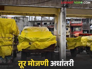 Tur Kharedi : ना छत, ना मोजणी… नाफेड केंद्रात शेतकऱ्यांची फरपट! वाचा सविस्तर - Marathi News | Tur Kharedi: No roof, no counting… Farmers' plight at Nafed center! Read in detail | Latest News at Lokmat.com Tur Kharedi : ना छत, ना मोजणी… नाफेड केंद्रात शेतकऱ्यांची फरपट! वाचा सविस्तर - Marathi News | Tur Kharedi: No roof, no counting… Farmers' plight at Nafed center! Read in detail | Latest News at Lokmat.com