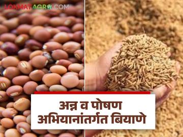 Agriculture News : अन्न व पोषण अभियानांतर्गत 50 टक्के अनुदानावर बियाणे, वाचा सविस्तर - Marathi News | Latest News Seeds at 50 percent subsidy under Food and Nutrition Mission, read in detail | Latest News at Lokmat.com Agriculture News : अन्न व पोषण अभियानांतर्गत 50 टक्के अनुदानावर बियाणे, वाचा सविस्तर - Marathi News | Latest News Seeds at 50 percent subsidy under Food and Nutrition Mission, read in detail | Latest News at Lokmat.com