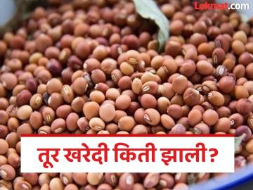 MSP Tur Kharedi : 31 हजार शेतकऱ्यांच्या तुरीचे मोजमाप शिल्लक, तत्पूर्वीच हमीभावाने तूर खरेदी बंद  - Marathi News | latest news MSP tur Kharedi Only 20.93% of the targeted Tur (Pigeon Pea) procurement has been completed in maharashtra | Latest market-yard News at Lokmat.com