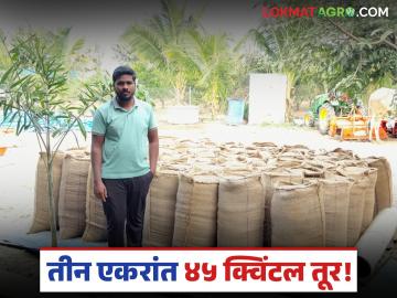 Farmer Success Story : आधुनिक शेतीचा फॉर्म्युला हिट; जालन्यातील शेतकऱ्याने मोडला उत्पादनाचा विक्रम - Marathi News | latest news Farmer Success Story: Modern farming formula hits; Farmer from Jalna breaks production record | Latest News at Lokmat.com