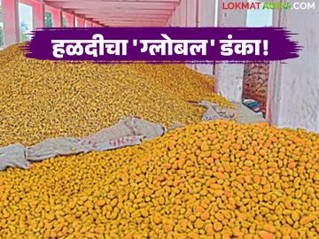 turmeric export : शेतकऱ्यांचा अभिमान! वसमतची हळद झाली आंतरराष्ट्रीय स्टार