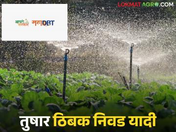  Sprinkler Drip List : महाडीबीटीवर तुषार, ठिबकची निवड यादी प्रसिद्ध, असे चेक करा तुमचं नाव - Marathi News | Latest news mahadbt lottery list Sprinkler Drip List Tushar, Drip Selection List Published on MahaDBT, Check List Here | Latest News at Lokmat.com