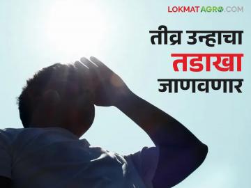 राज्यातील 'या' शहरांना उष्णतेच्या लाटेचा इशारा; वाचा काय सांगताहेत हवामान तज्ञ - Marathi News | Heat wave warning for 'these' cities in the state; Read what weather experts are saying | Latest News at Lokmat.com राज्यातील 'या' शहरांना उष्णतेच्या लाटेचा इशारा; वाचा काय सांगताहेत हवामान तज्ञ - Marathi News | Heat wave warning for 'these' cities in the state; Read what weather experts are saying | Latest News at Lokmat.com