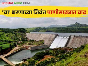 Maharashtra Dam Storage Update जाणून घ्या राज्यातील धरणसाठ्याच्या पाण्यात किती झालीये वाढ - Marathi News | Maharashtra Dam Storage Update Know how much water has increased in the state's dam storage | Latest News at Lokmat.com Maharashtra Dam Storage Update जाणून घ्या राज्यातील धरणसाठ्याच्या पाण्यात किती झालीये वाढ - Marathi News | Maharashtra Dam Storage Update Know how much water has increased in the state's dam storage | Latest News at Lokmat.com