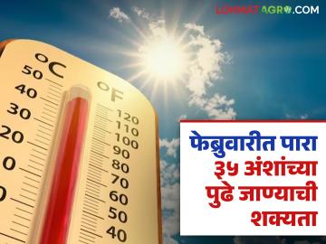 फेब्रुवारी महिन्यात उष्णतेचा चढता आलेख; रब्बी पिकांसाठी करावे लागेल जलव्यवस्थापन - Marathi News | Rising temperature graph in February; Water management will have to be done for Rabi crops | Latest News at Lokmat.com